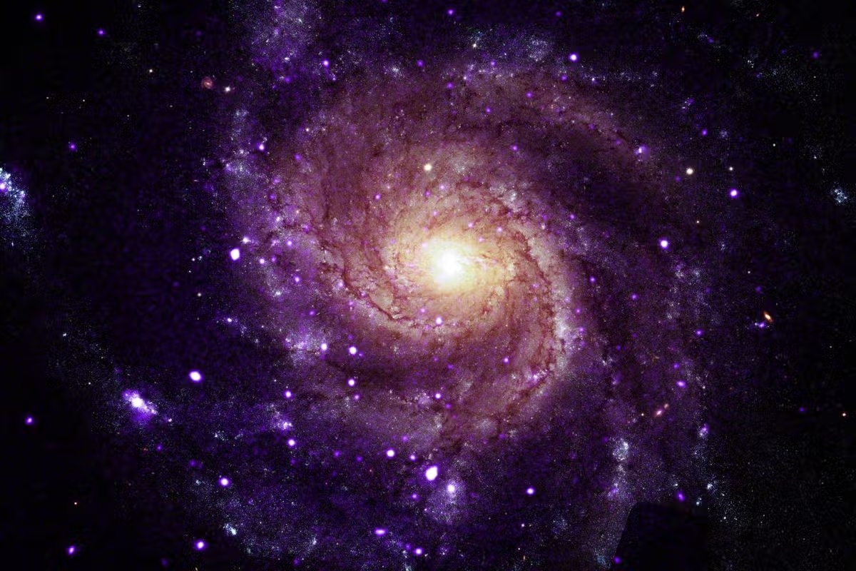 Los investigadores identificaron 84 fuentes de rayos X hipersuaves en seis galaxias, entre ellas M101 y Messier 31 (Andrómeda)